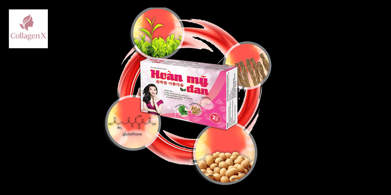 thanh-phan-trong-hoan-my-dan